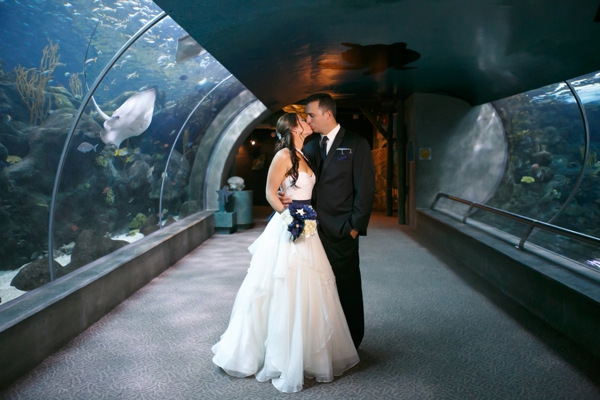 SomethingTurquoise_DIY_aquarium_wedding_Carrie_Wildes_Photography_0010.jpg