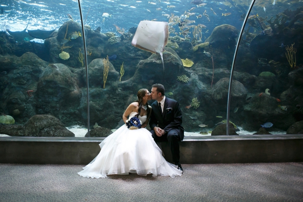 SomethingTurquoise_DIY_aquarium_wedding_Carrie_Wildes_Photography_0012.jpg