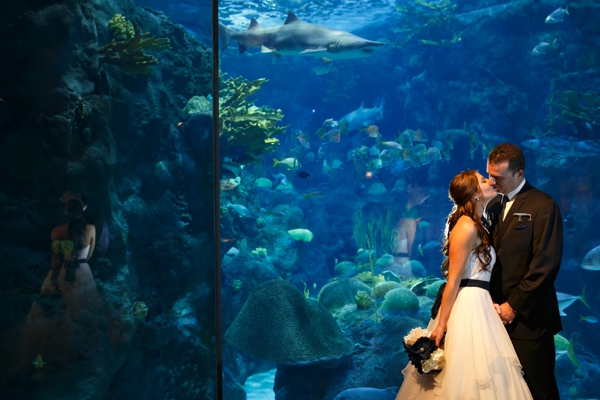 SomethingTurquoise_DIY_aquarium_wedding_Carrie_Wildes_Photography_0013.jpg