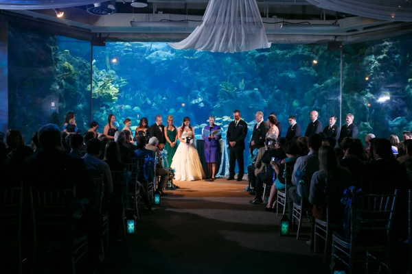SomethingTurquoise_DIY_aquarium_wedding_Carrie_Wildes_Photography_0016.jpg