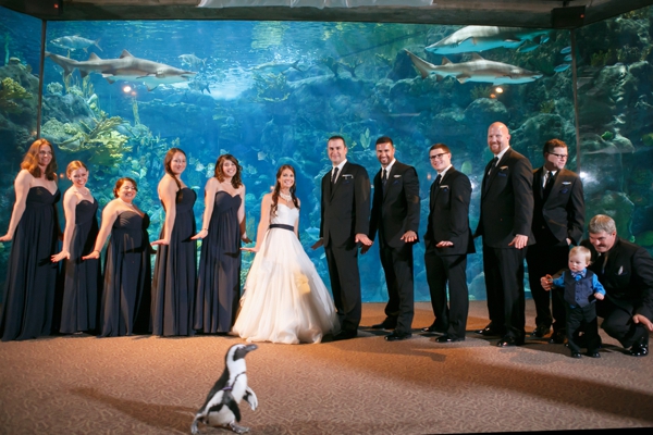 SomethingTurquoise_DIY_aquarium_wedding_Carrie_Wildes_Photography_0021.jpg