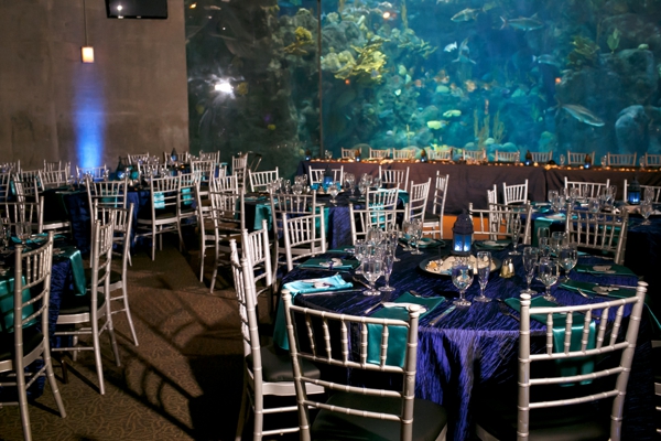 SomethingTurquoise_DIY_aquarium_wedding_Carrie_Wildes_Photography_0030.jpg