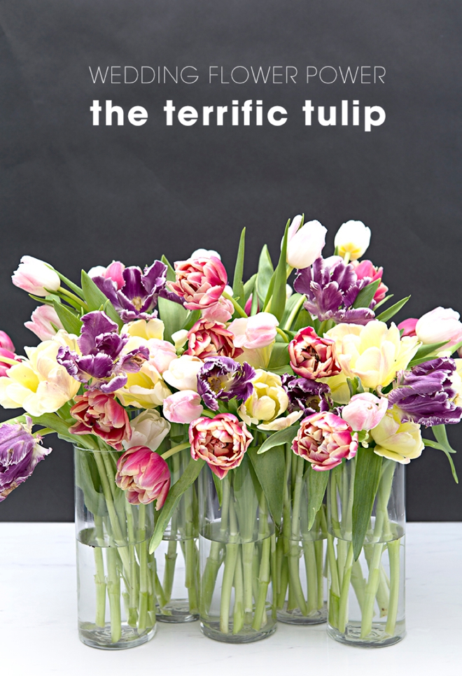 These are the best wedding flower tips about tulips!