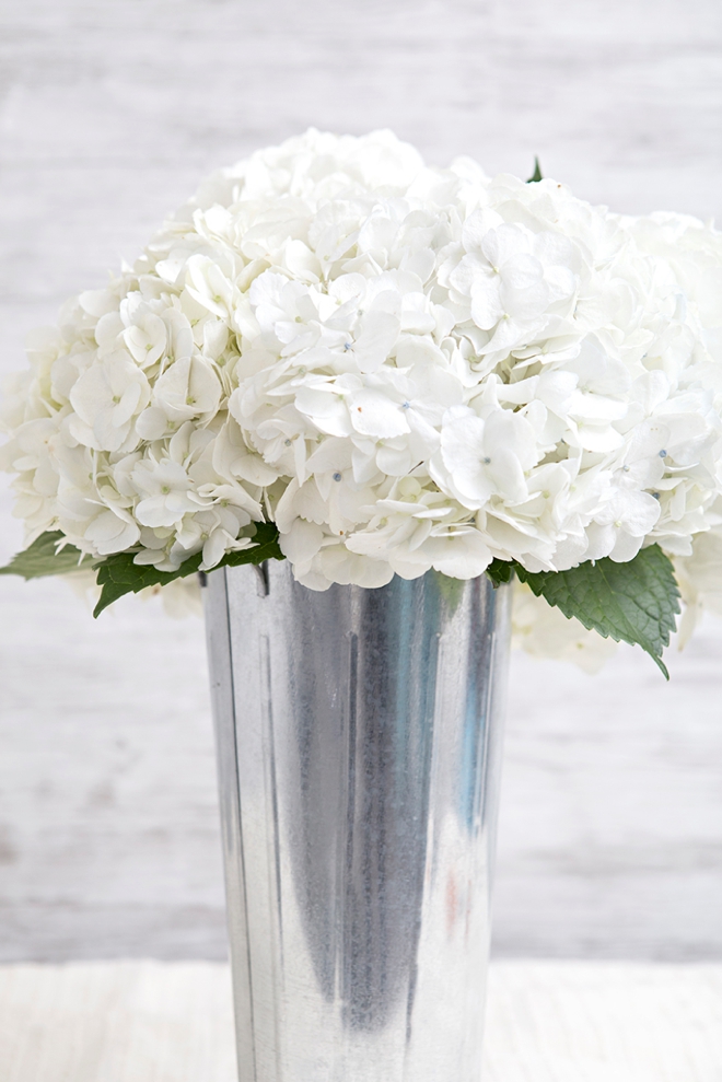 Everything you need to know about using Hydrangea flowers in your wedding!