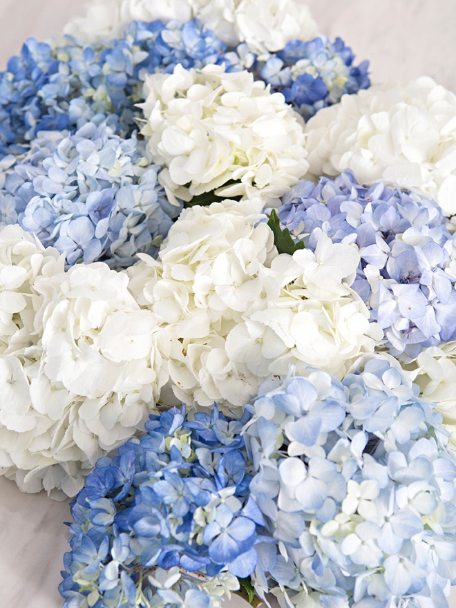 Everything you need to know about using Hydrangea flowers in your wedding!