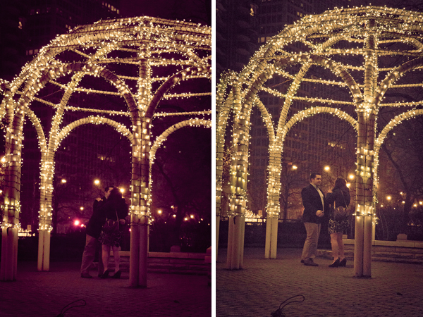proposal in front of the Drake Hotel