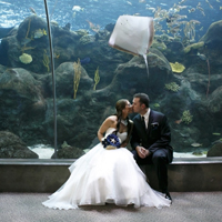 aquarium-wedding