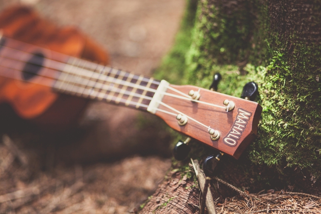 The bride sang her vows to the groom with this ukulele...
