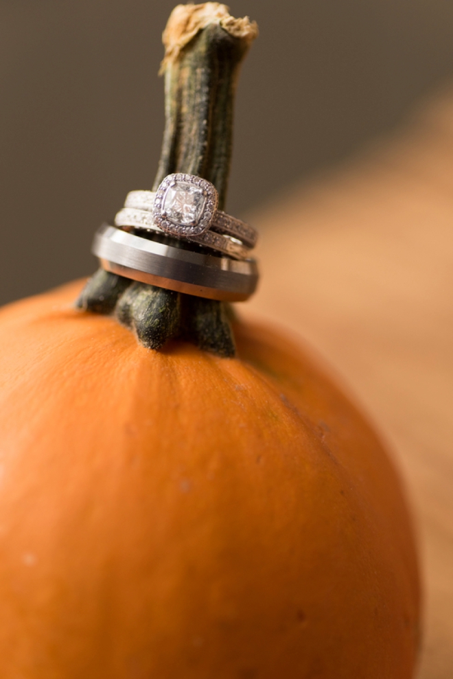 Wedding rings on a pumpkin