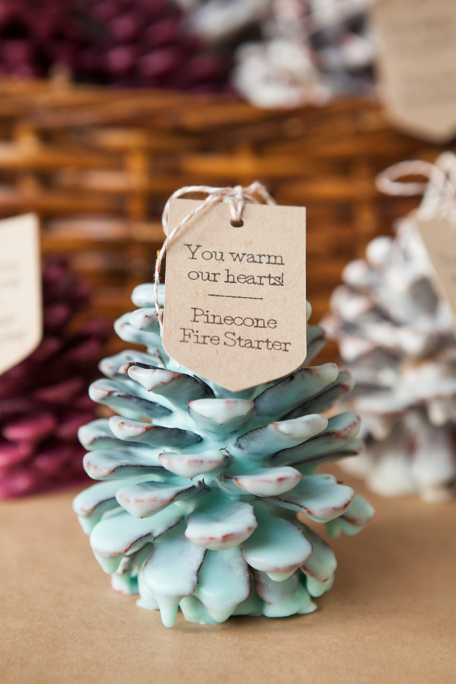 Diy Pinecone Fire Starter Favors Bridalpulse