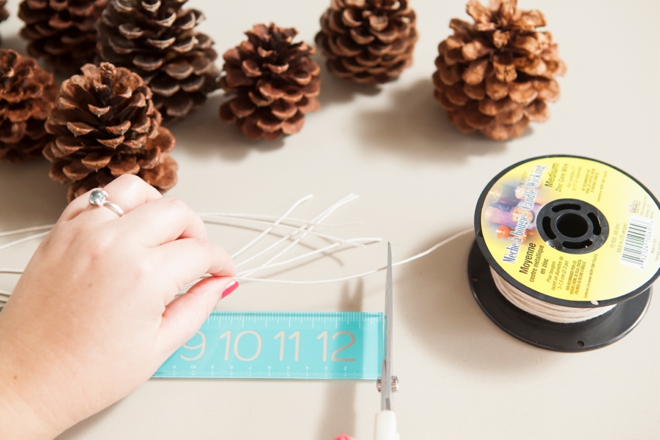 DIY - How to make Pinecone Fire Starter favors