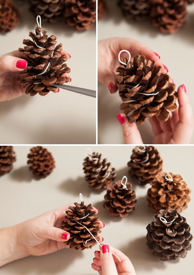 Learn How To Make Your Own Pinecone Fire Starters