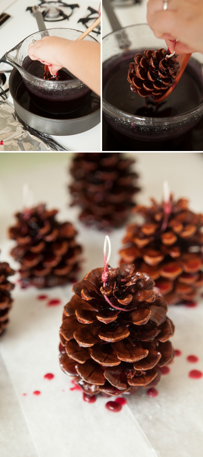 Download Learn how to make your own Pinecone Fire Starters!