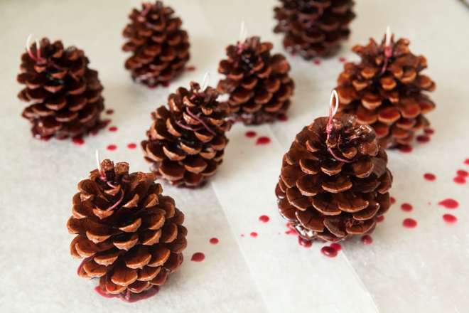 DIY - How to make Pinecone Fire Starter favors