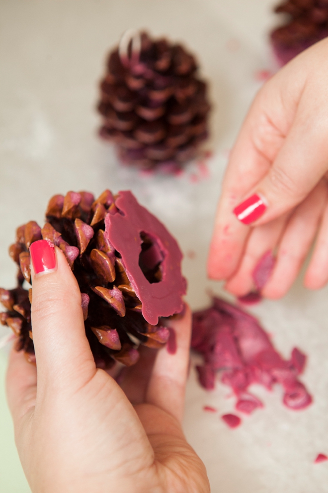 DIY - How to make Pinecone Fire Starter favors