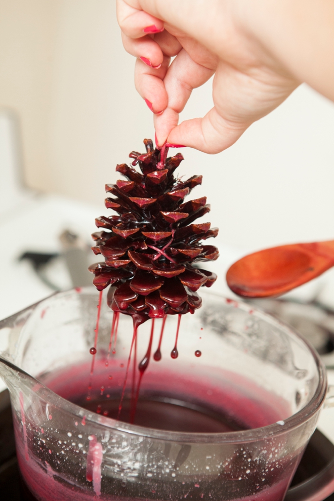 DIY - How to make Pinecone Fire Starter favors