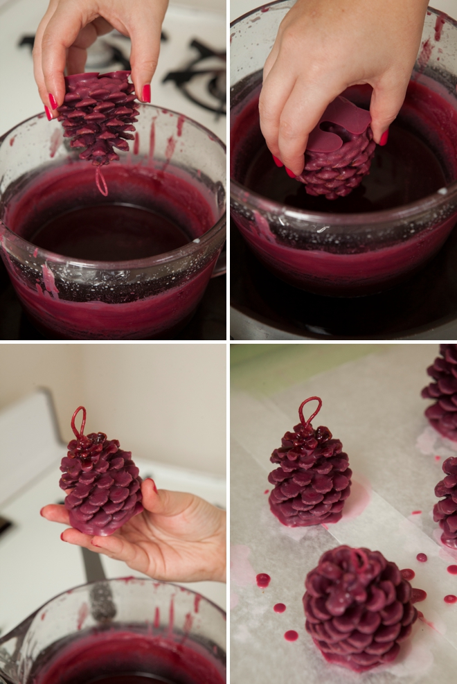 Download Learn how to make your own Pinecone Fire Starters!