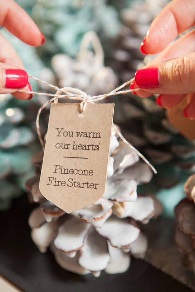 DIY - How to make Pinecone Fire Starter favors