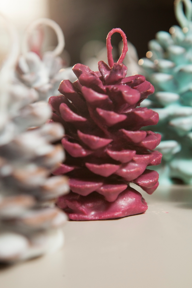 Learn how to make your own Pinecone Fire Starters!