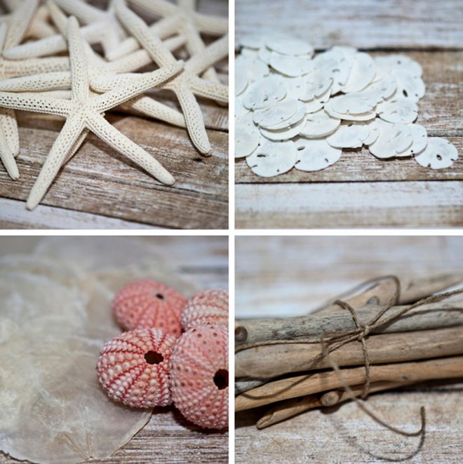 Bulk seashell supplies from CereusArt
