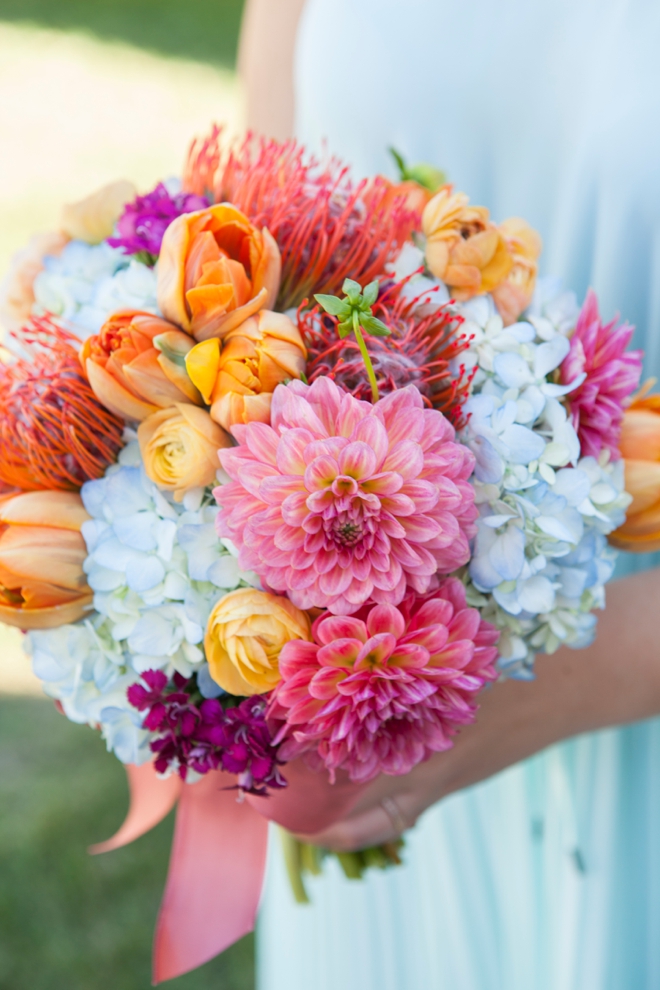 blue and orange flowers