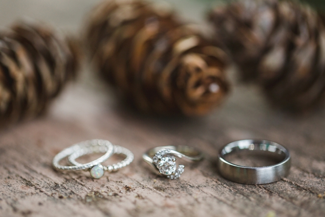 Wedding rings and pinecones.