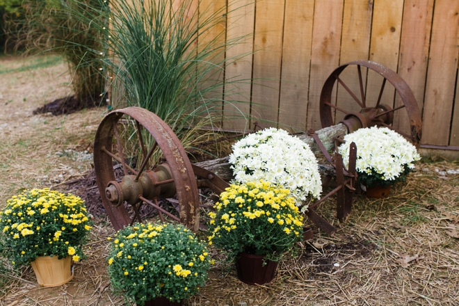 Flowers by the barn