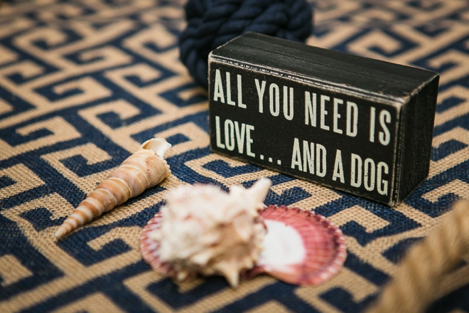All you need is Love and a Dog