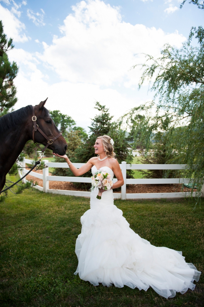 Bride and horse