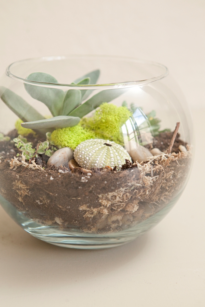 DIY Wedding Terrariums