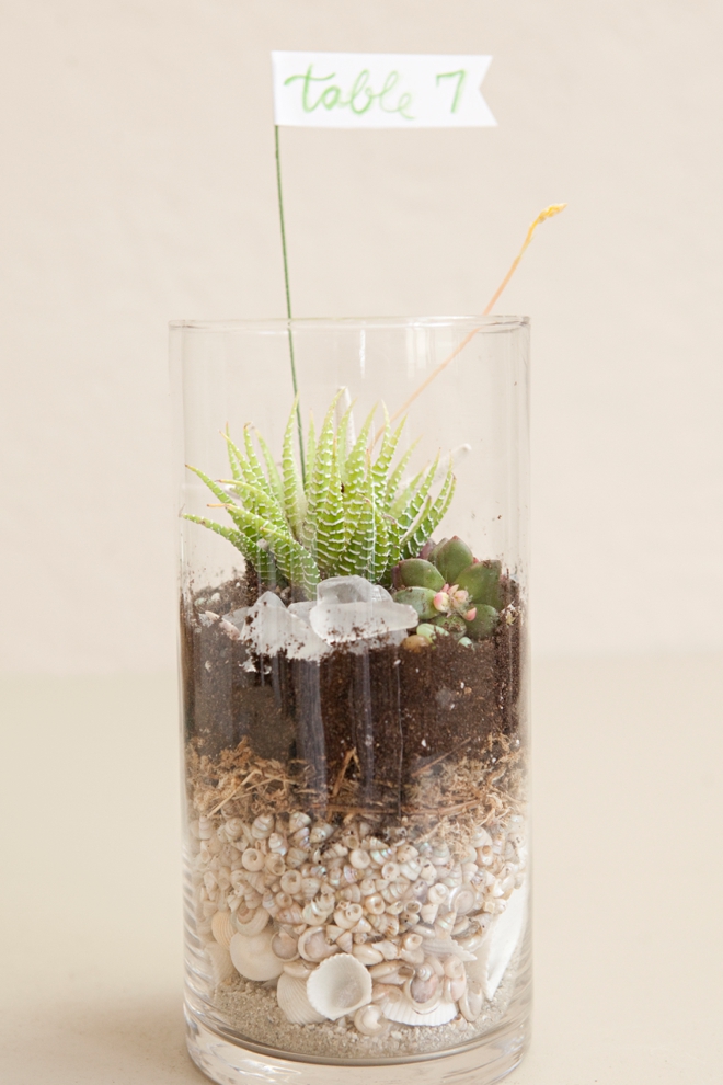 DIY Wedding Terrariums