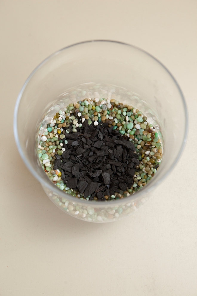 Activated charcoal in terrariums