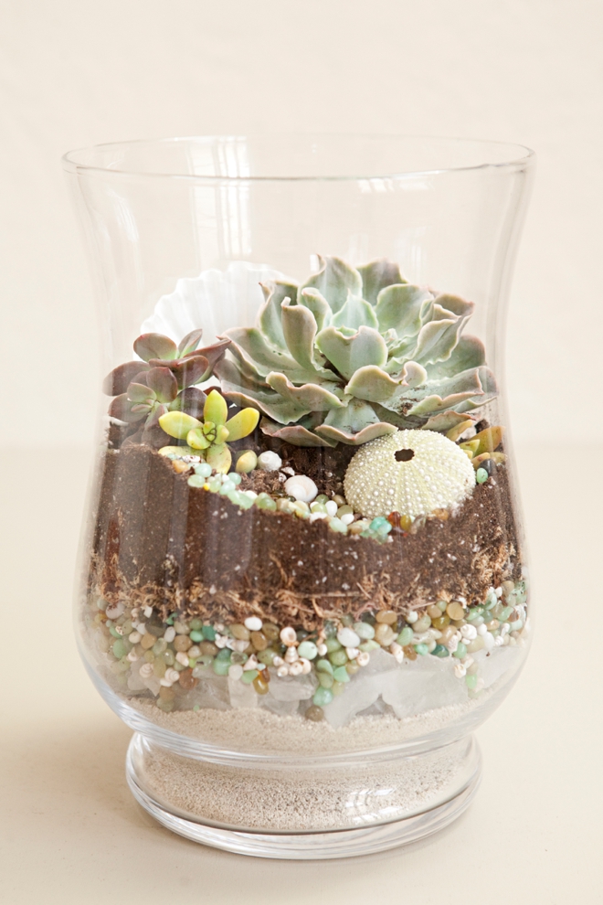 DIY terrarium with seashells and sea glass