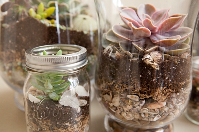 DIY Wedding Terrarium Centerpieces and Favors