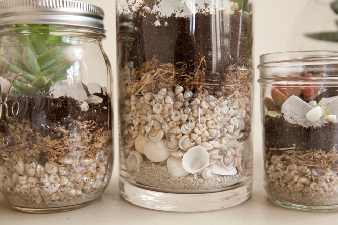 DIY Wedding Terrarium Centerpieces and Favors