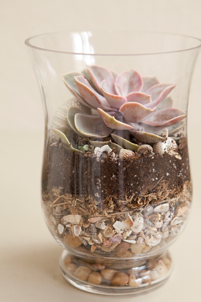 DIY Wedding Terrariums