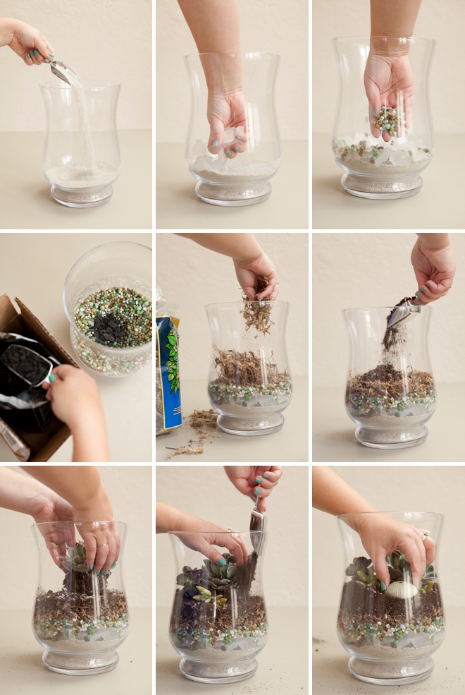 How to build a terrarium