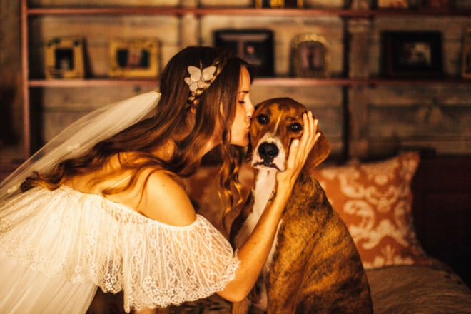 Bride kissing her dog