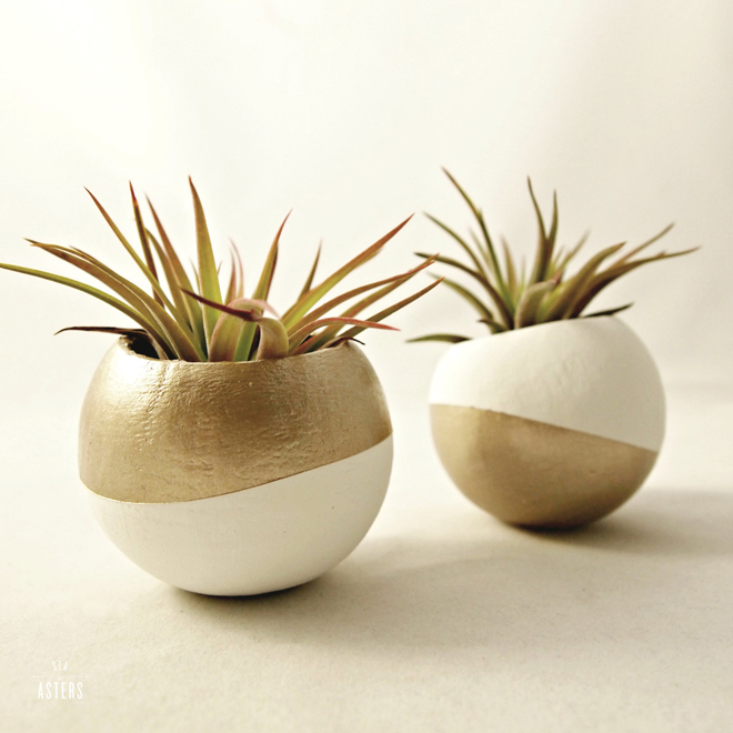 Metallic gold air plant pots from Sea & Asters