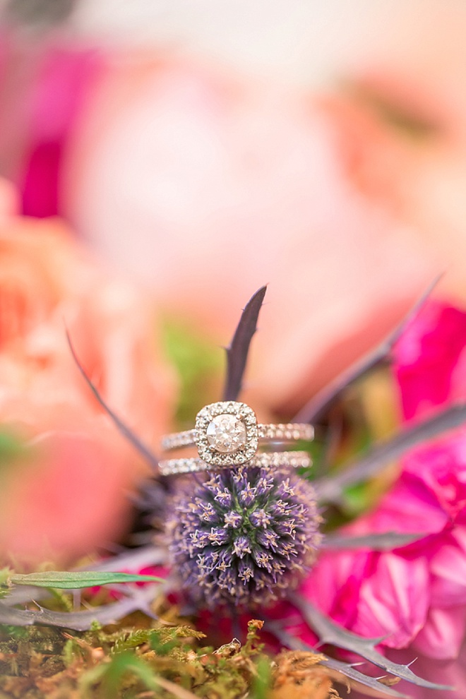 Gorgeous wedding ring shot