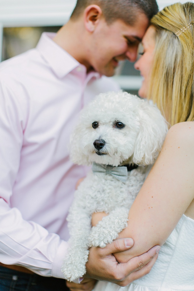 Super sweet engagement shot with dog in a bow tie!