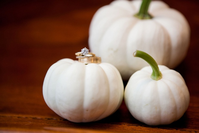 Wedding ring shot on mini-pumpkins!