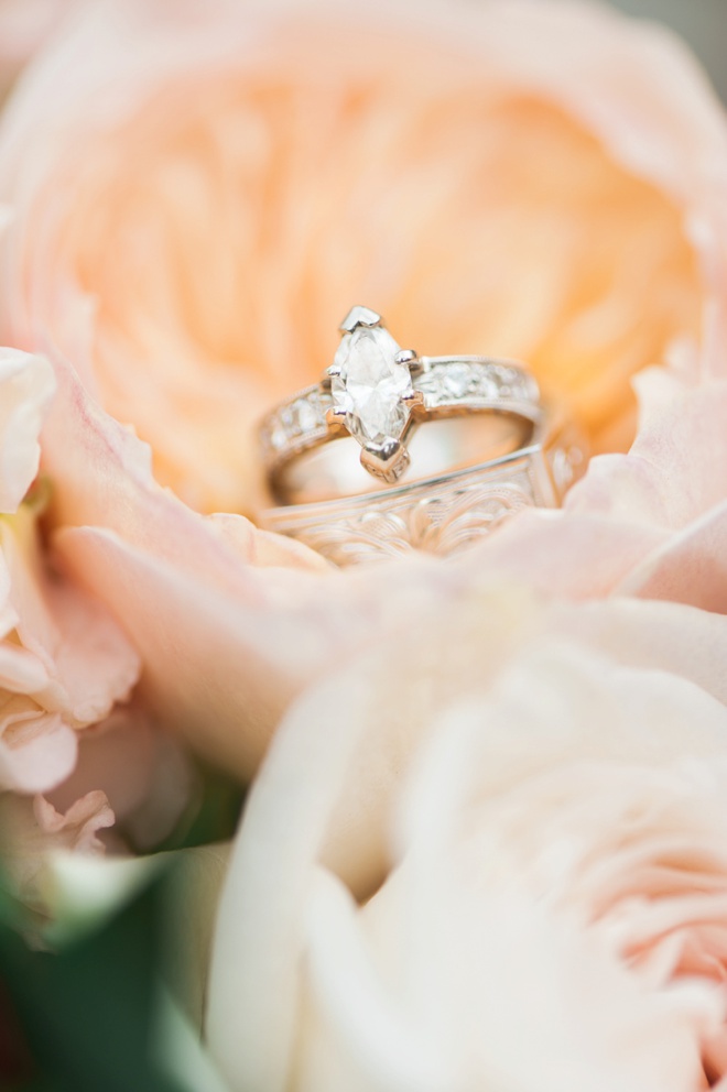 Custom wedding rings shot in a cabbage rose.