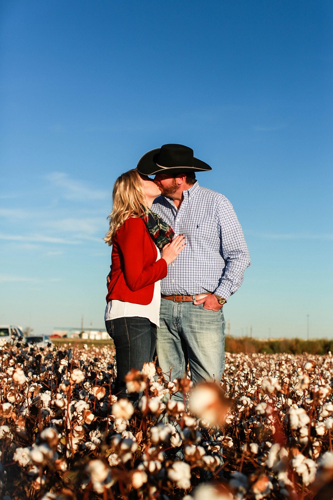 Adorable engagement shoot in a cotton field!