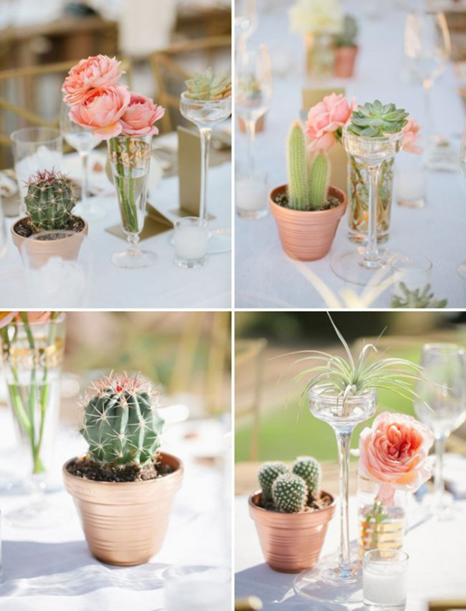 Adorable mini-cacti wedding centerpieces!