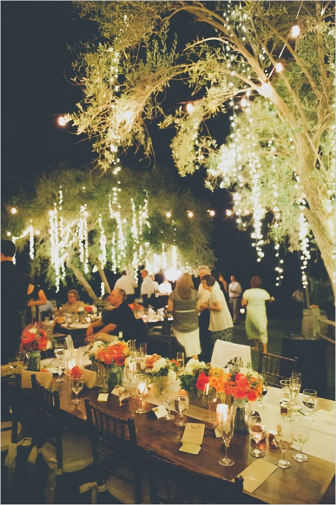 Drape lights from trees to make a magical outdoor wedding space!