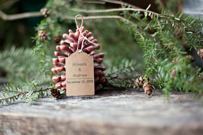 Loving these pinecone fire starter DIY favors!