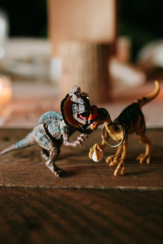How fun is this wedding ring shot with dinosaurs? Love!