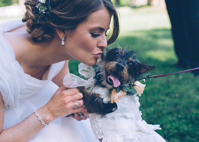 How cute is this darling photo of the Bride and her Flower Girl pup?! Love it!