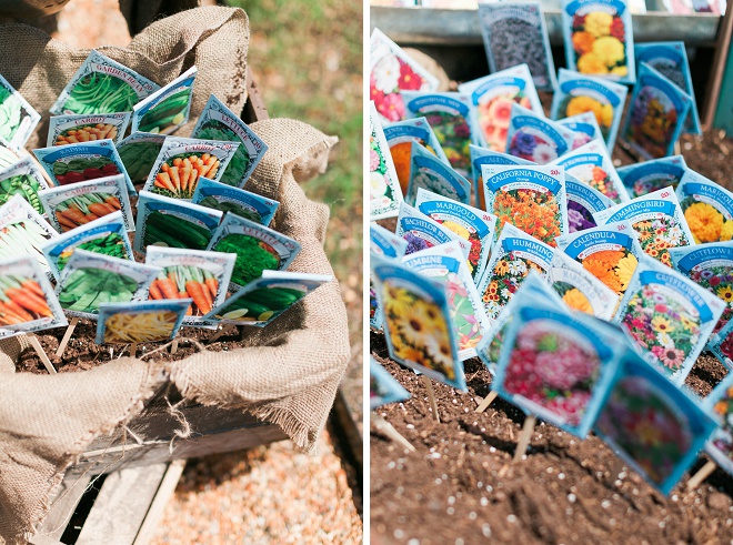 How fun are these let love grow seed packet wedding favors?! Such a great idea!